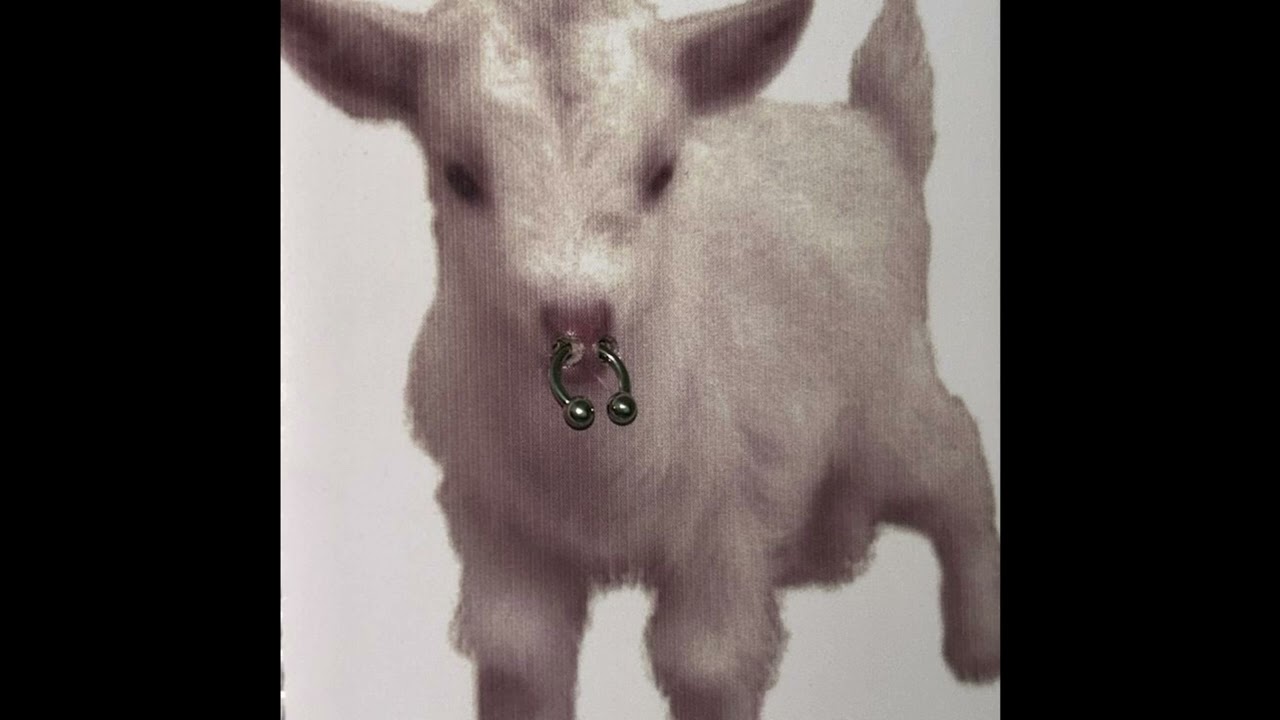 slayr + waera typebeat 'deception' / (prod.earendel)