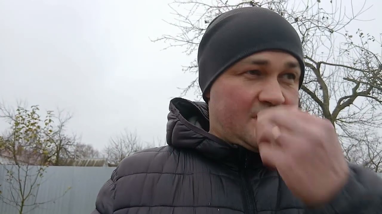 🔴Иммунитет современных пчел