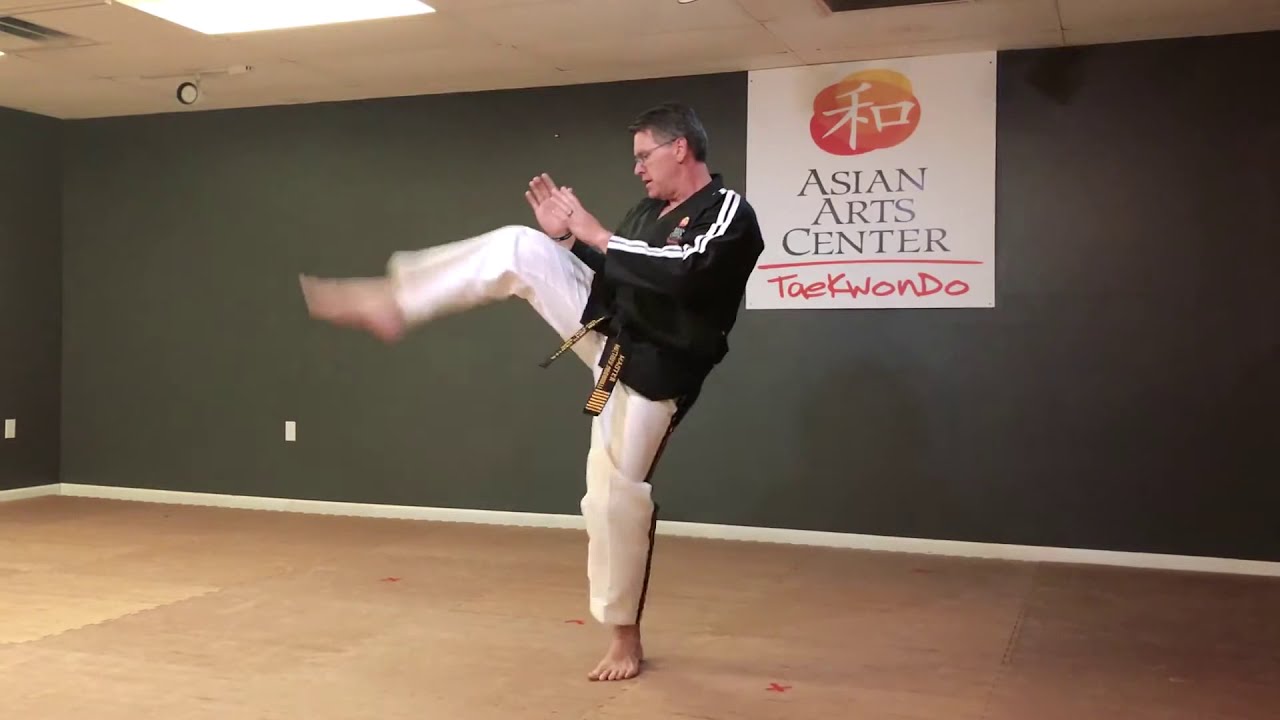 Learn Martial Arts Online With This Beginner Workout