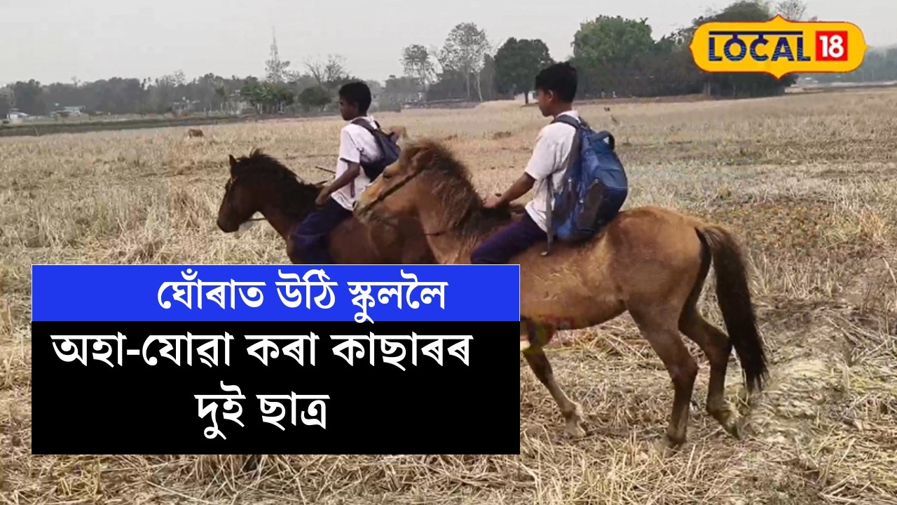 Cachar News | ঘোঁৰাত উঠি স্কুললৈ অহা-যোৱা কৰা কাছাৰৰ দুই ছাত্ৰ #local18
