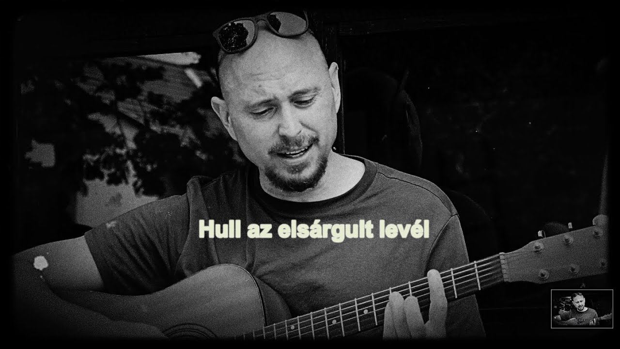 Vad Fruttik - Hull az elsárgult levél | akusztik