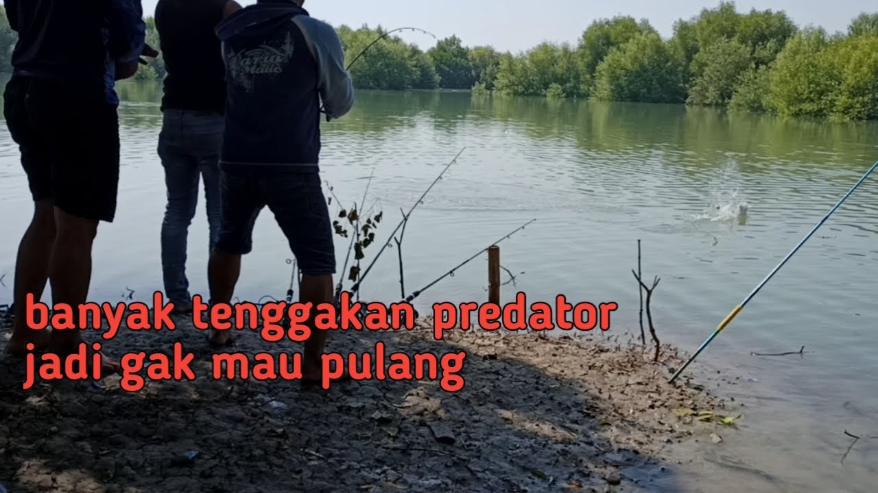 Mancing di muara manyar gresik||spot celangap