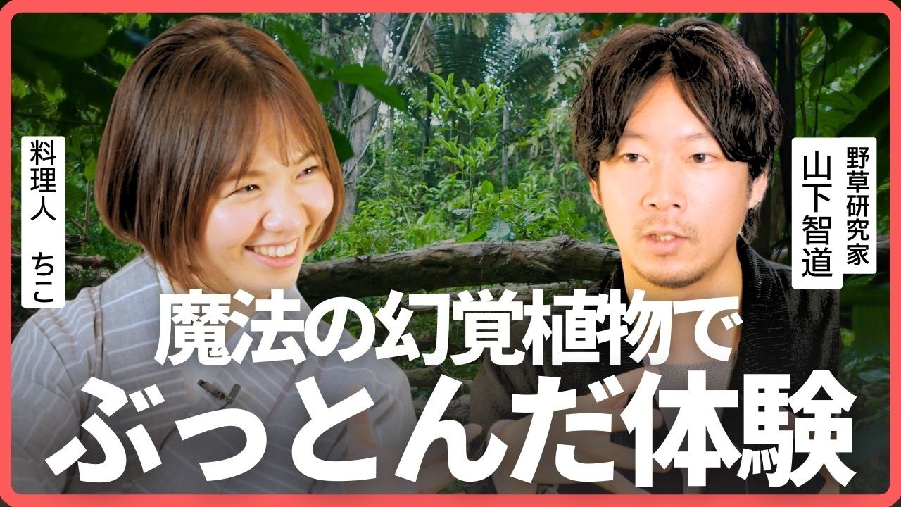 幻覚植物？！アヤワスカって実際どうなの？｜山下智道