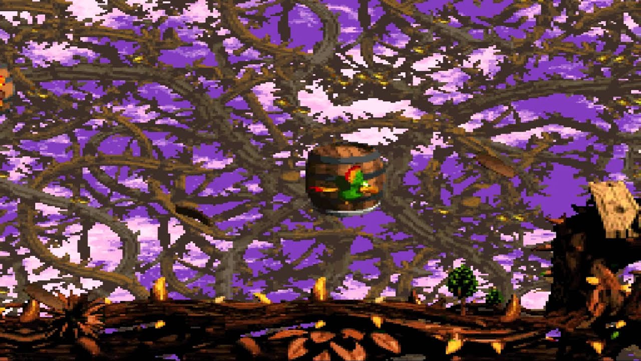 Donkey Kong Country 2 - Avoid Screech's sprint glitch