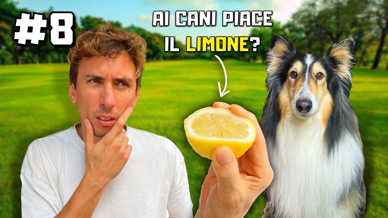 SFATO 10 MITI con i MIEI CANI