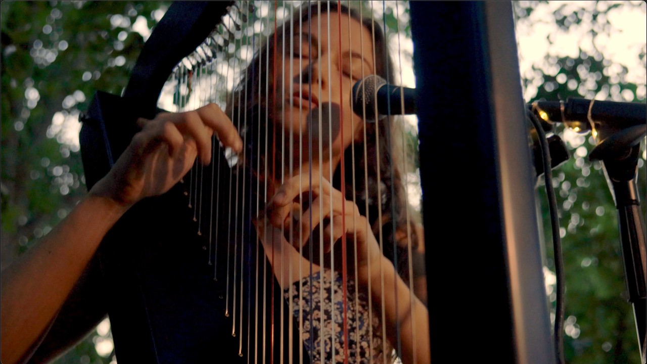 Live in the forest: Acoustic harp & vocals