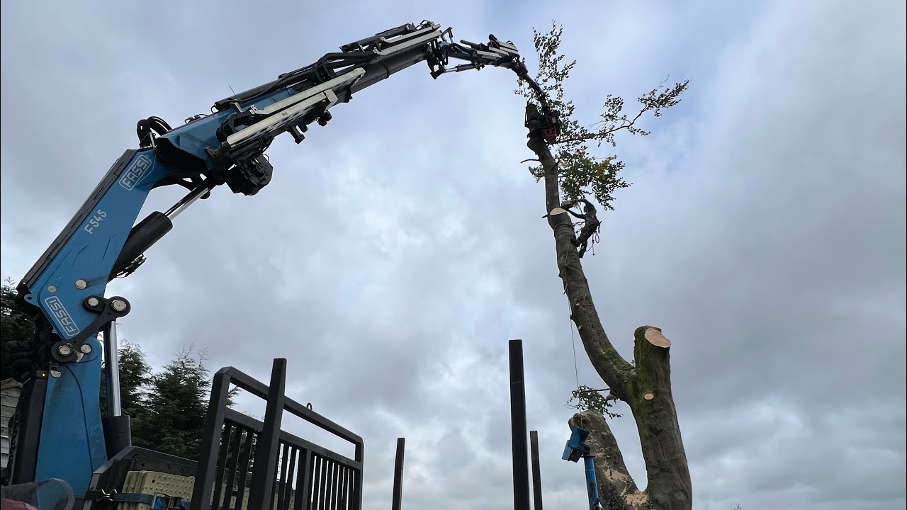Removing half dead tree with grapple saw crane!!!