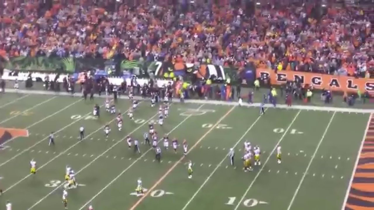 2016 WILDCARD GAME BENGALS FANS THINKING PLAYOFF CURSE WAS OVER VS STEELERS