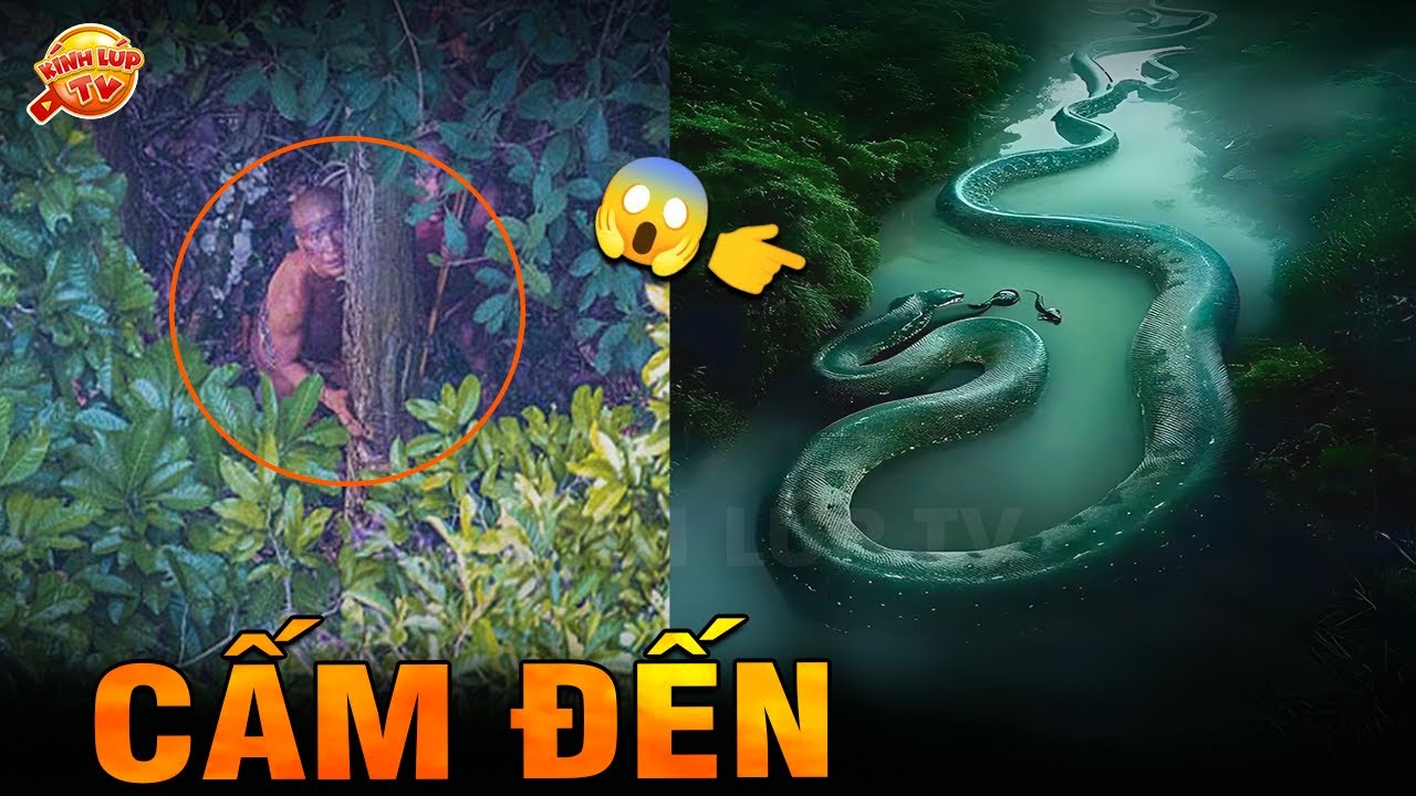 🔥 Tại Sao AMAZON Lại Là Vùng Đất Cấm Con Người? | Kính Lúp TV
