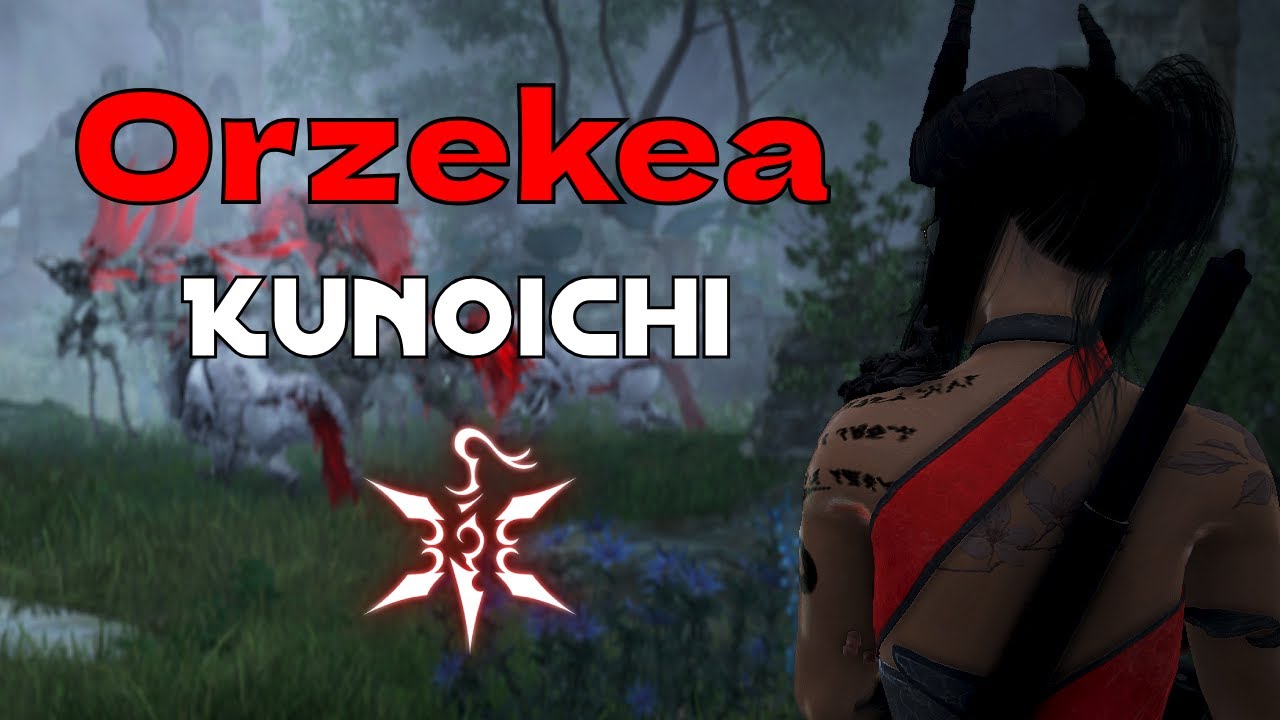 [BDO] Kunoichi Awakening PVE / Orzekea 353 ap / AFTER PATCH