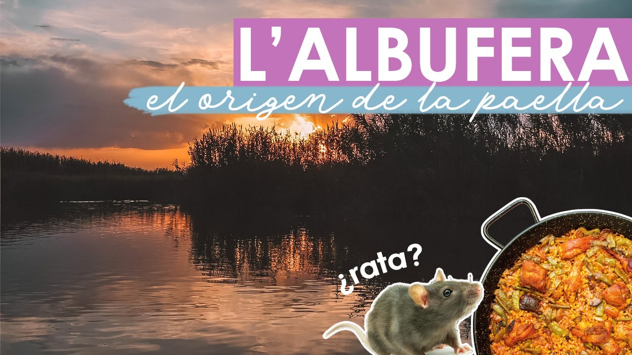 1 DÍA EN L'ALBUFERA // Paseo en Barca por los arrozales + Paella // VALENCIA