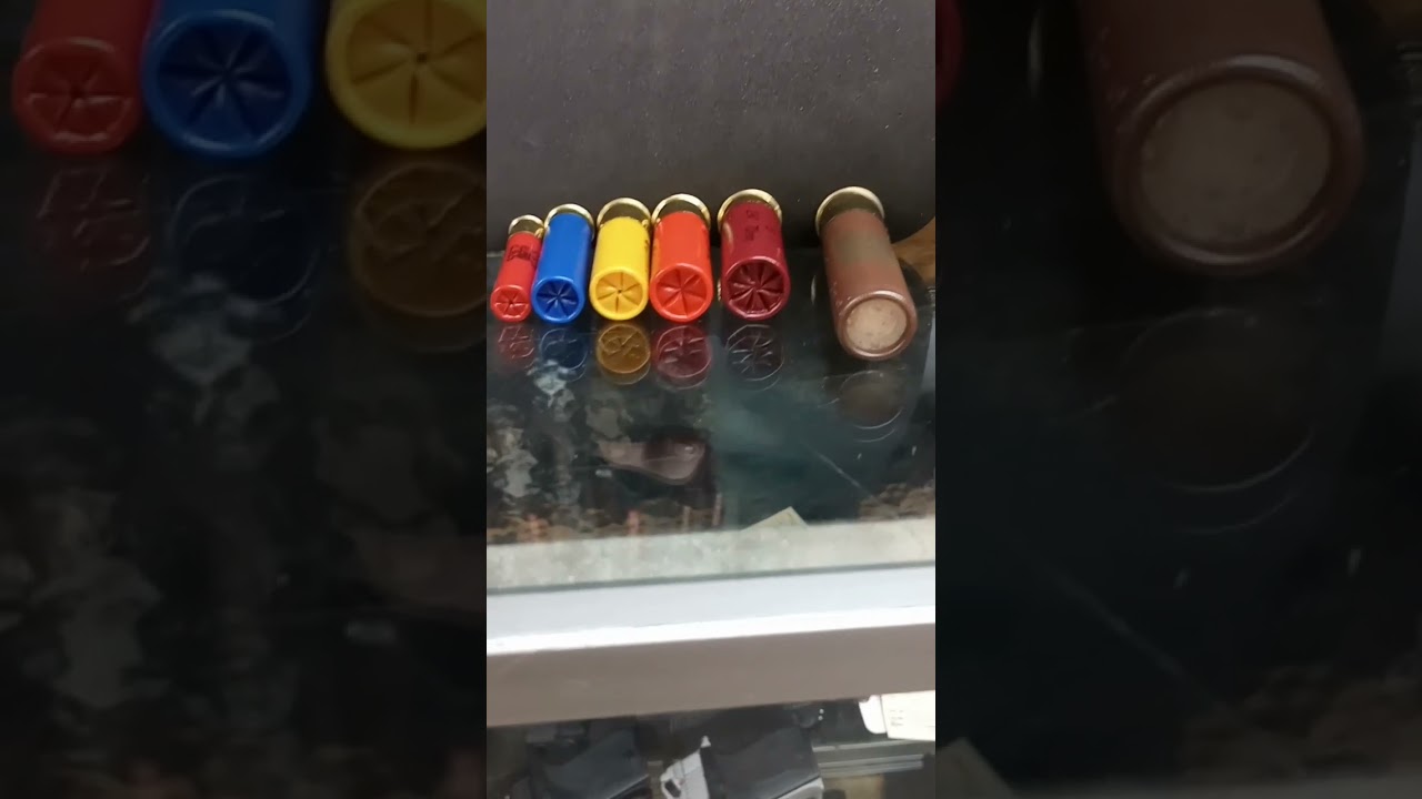 Ammo comparison. .410, 28, 20, 16, 12, 10 gauge