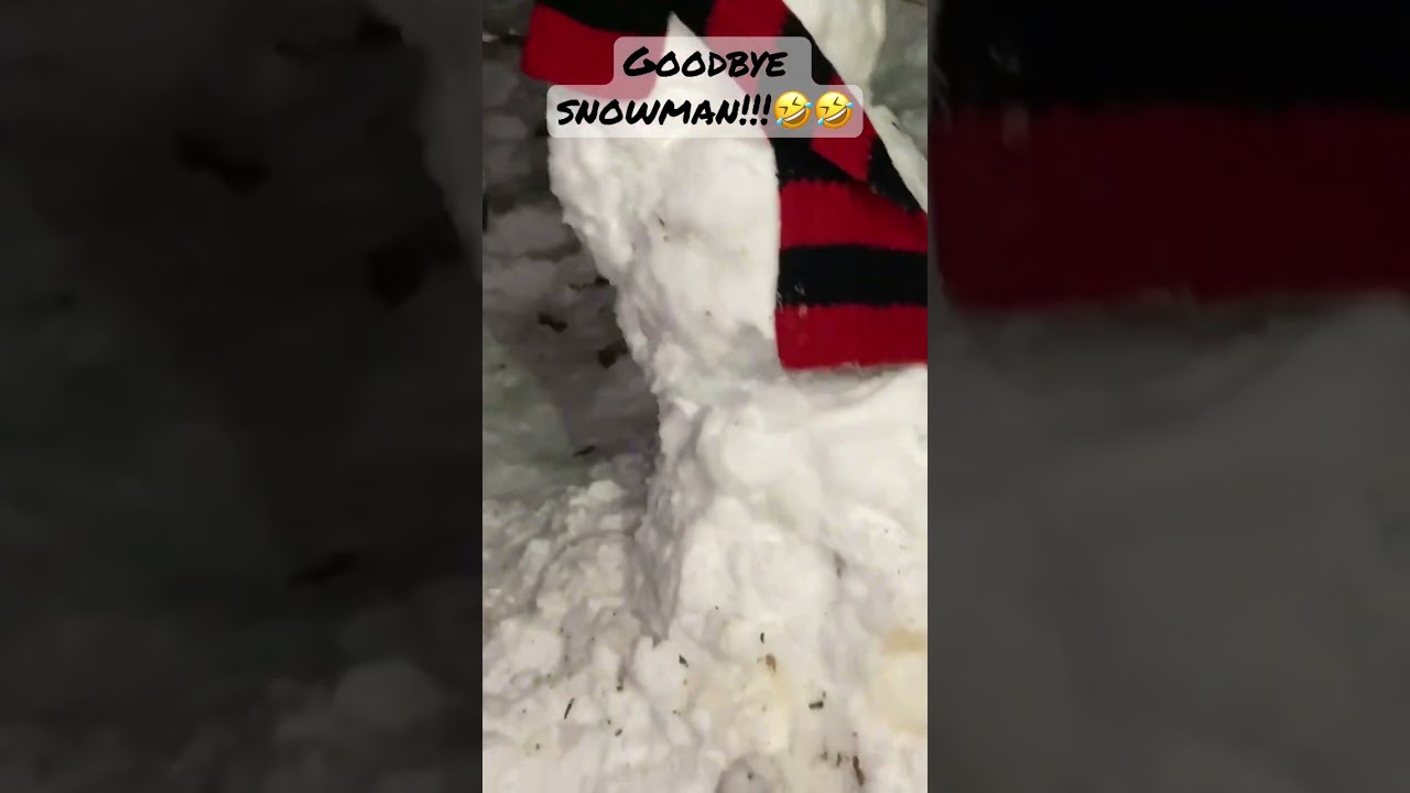 Fail Snowman waaaa!!! 🤣🤣🤣 #winter #shorts #snowman #funny #funnymoments #funnyshorts #funnyfails