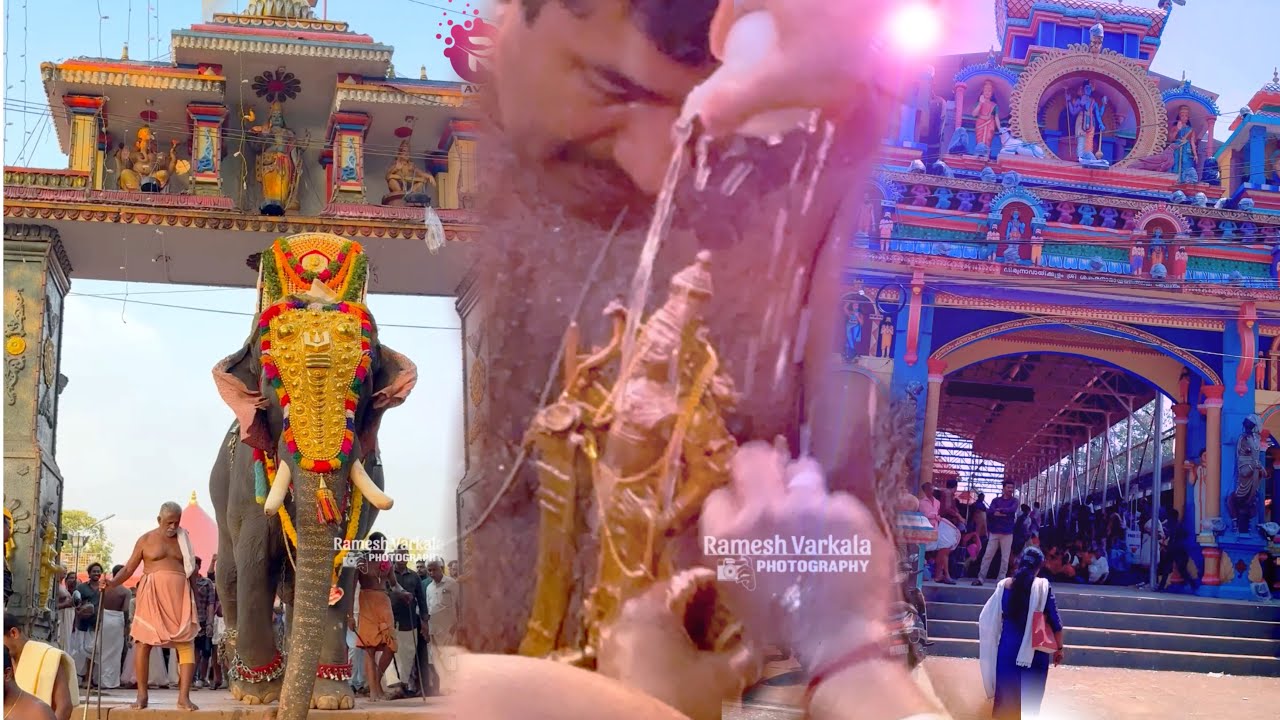 തിരുഃ ആറാട്ട് 2025🙏 Navaikulam Sree Sankaranarayna Swmay Temple Aarattu ✨ | Thrikkadavoor Sivaraju