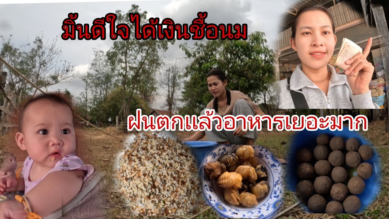 ขอบใจอ้ายฮักให้เงินค่านมมิ้นตา บ้านสาวโมฝนตกเเล้วเด้อ28 กุมภาพันธ์ ค.ศ. 2026