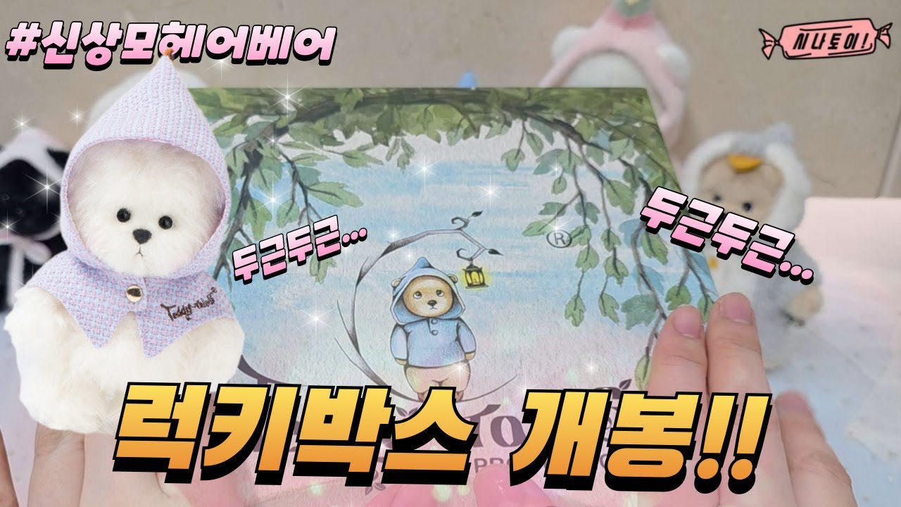 최초!! 테디테일즈 레나베어 럭키박스 개봉하기🌟 두근두근 신상모헤어베어 레나버니 테디베어 수집