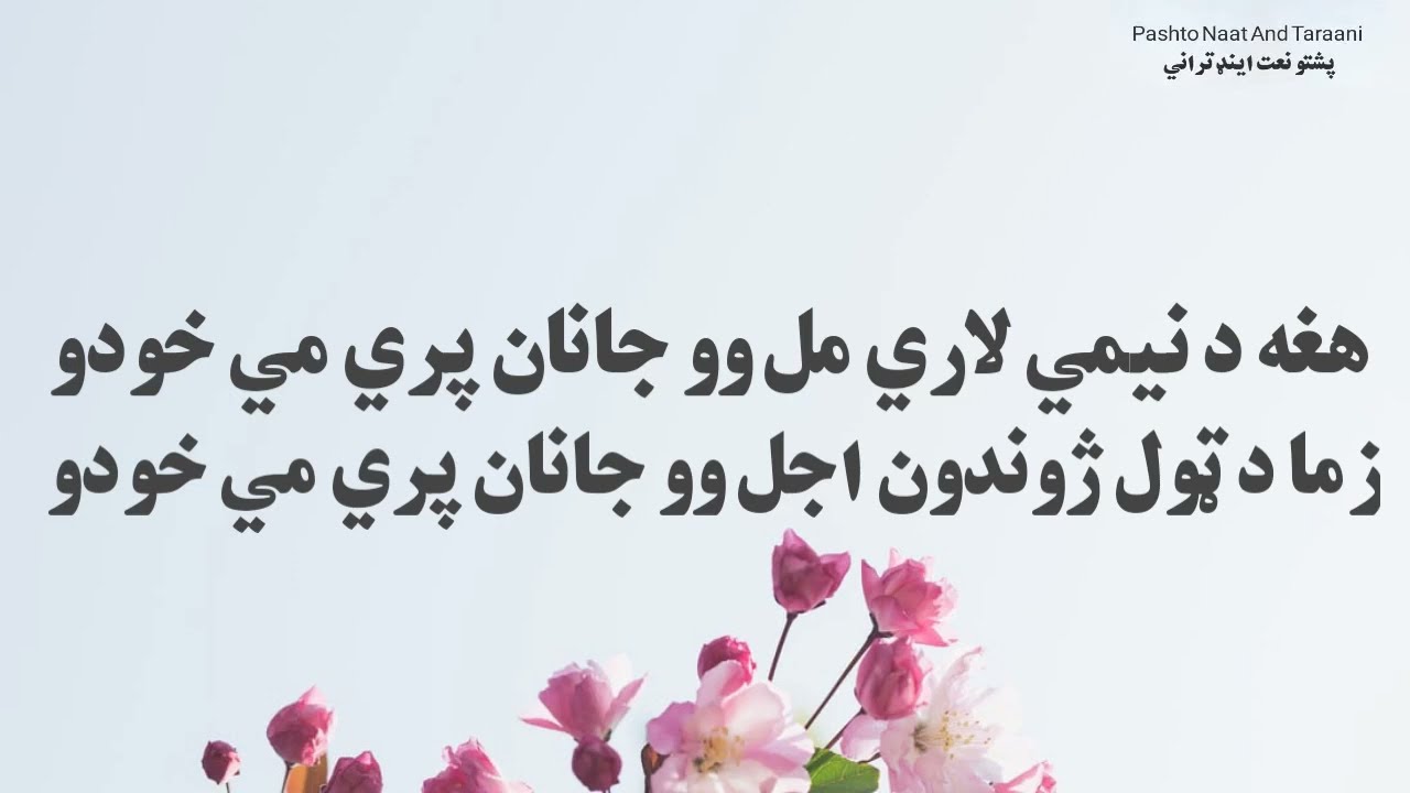 هغه د نیمي لاري مل وو | نوي ښایسته ترانه | new pashto tarana / hagha da nemi lary mal wo