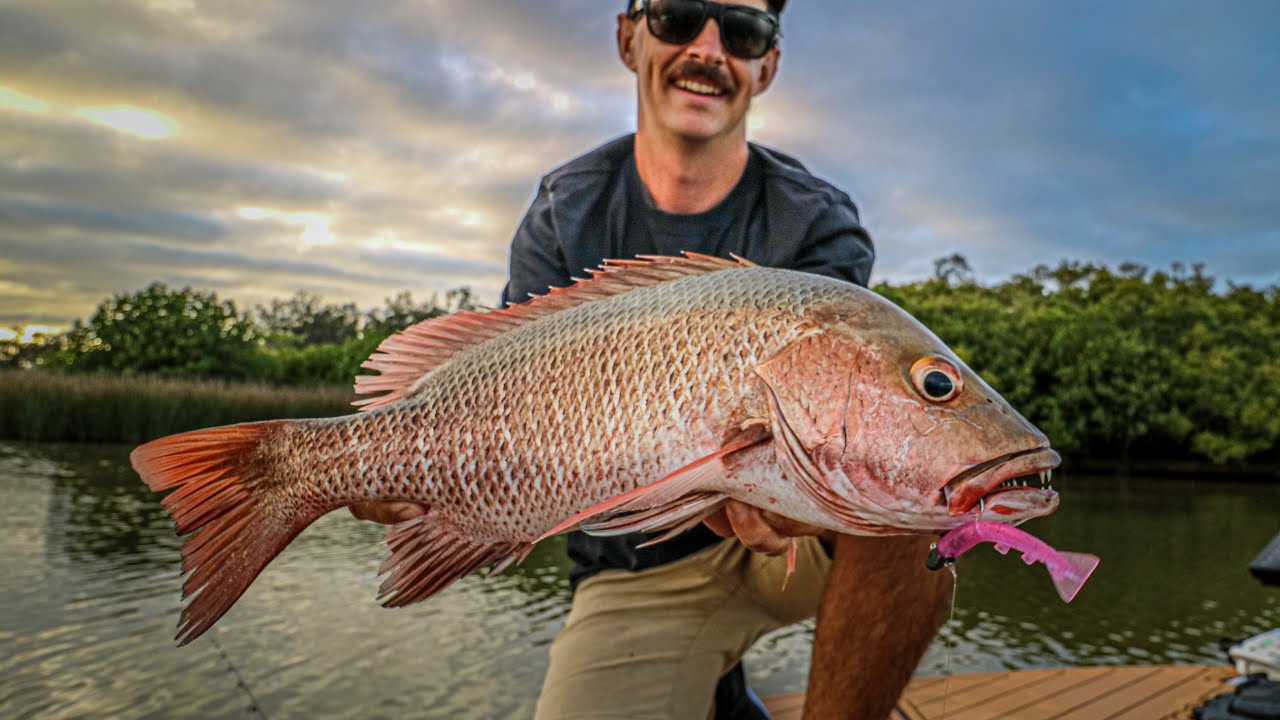 Win Some, Loose Some | Big Mangrove Jack | Fishing SEQ With Lures