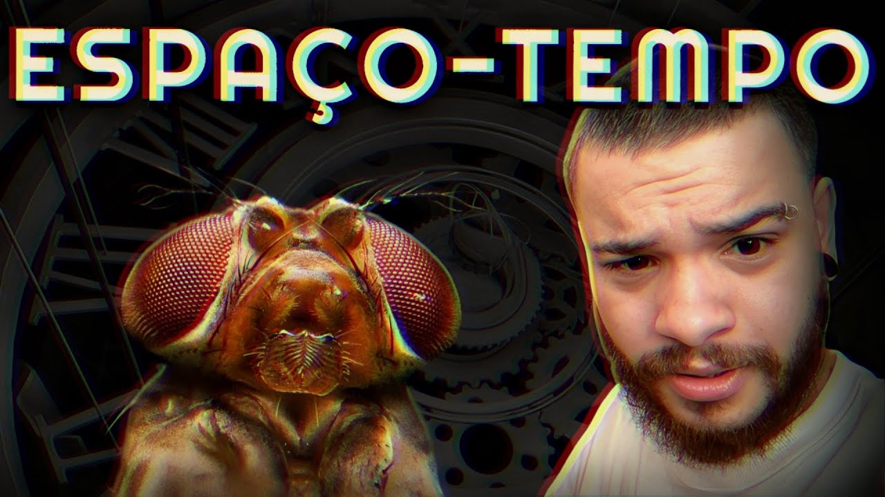 COMO AS MOSCAS DISTORCEM O ESPA&Ccedil;O TEMPO? - react Ponto em Comum