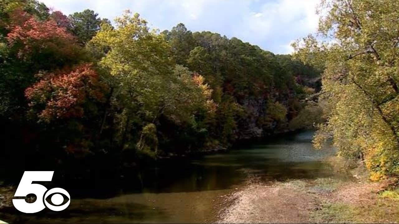 Fall train ride through Boston Mountains | Adventure Arkansas