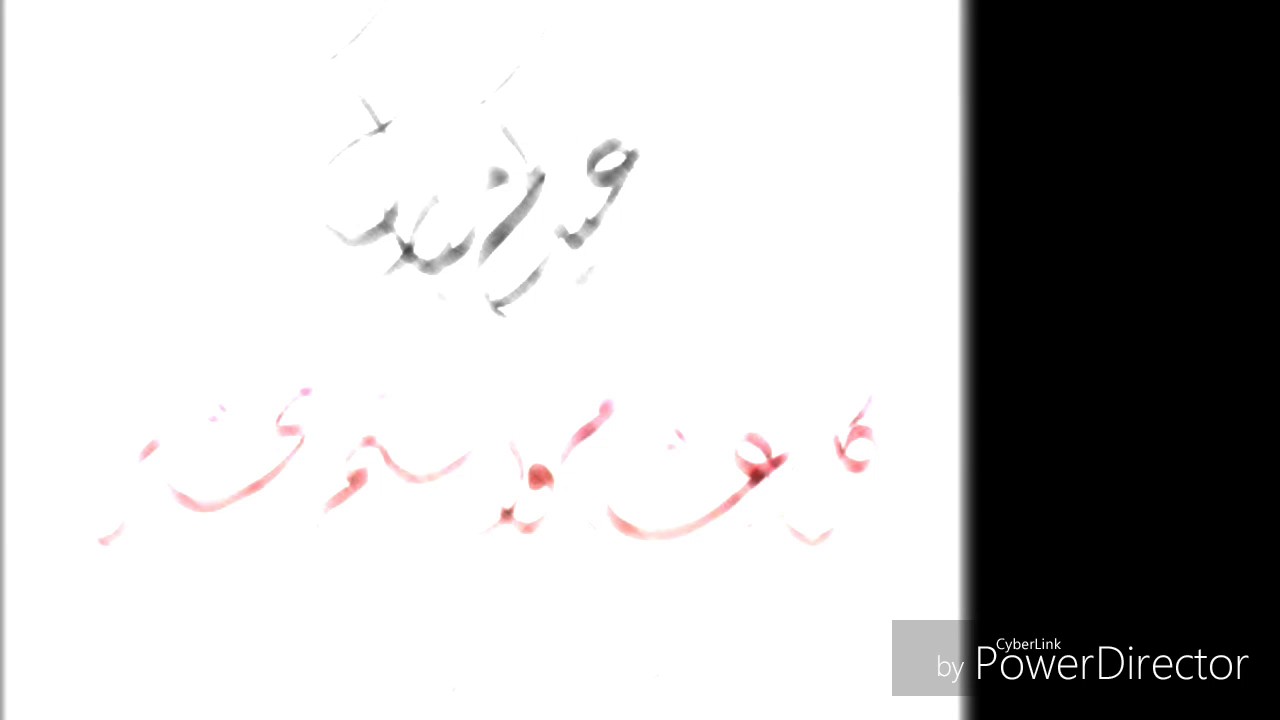 Cheikh Alfa Sassirou Djougou.