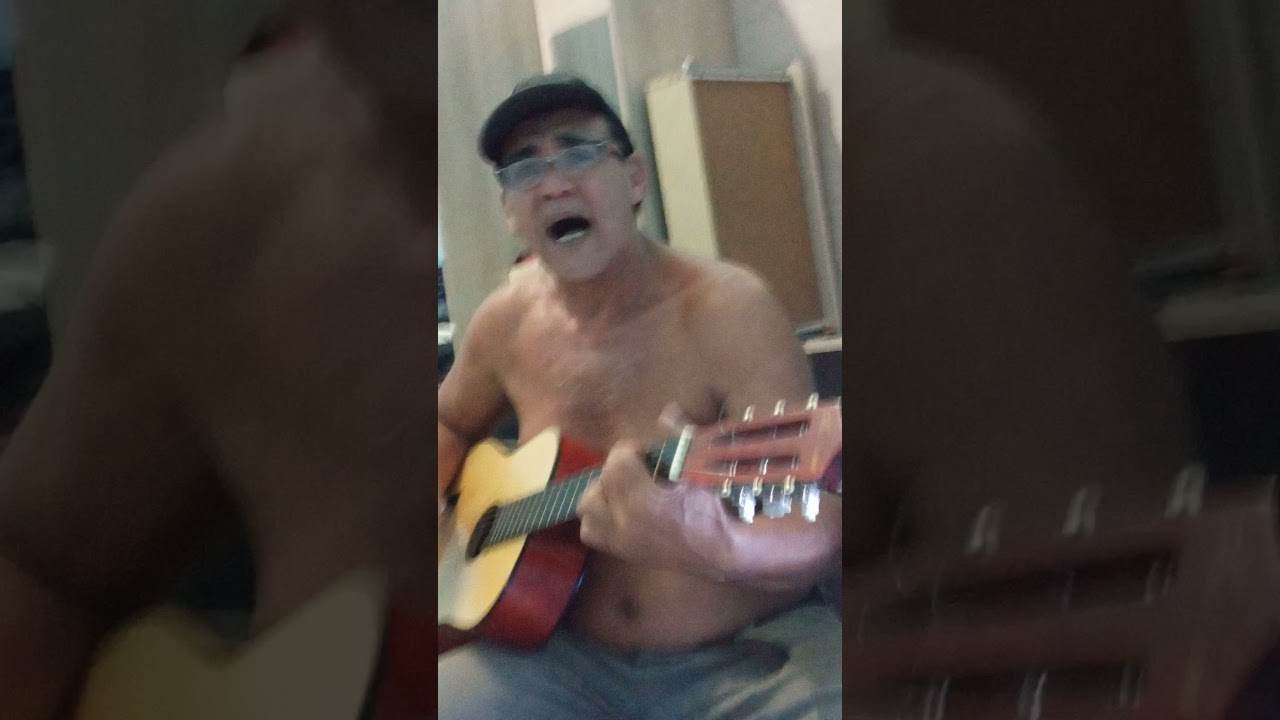 Elvio luis