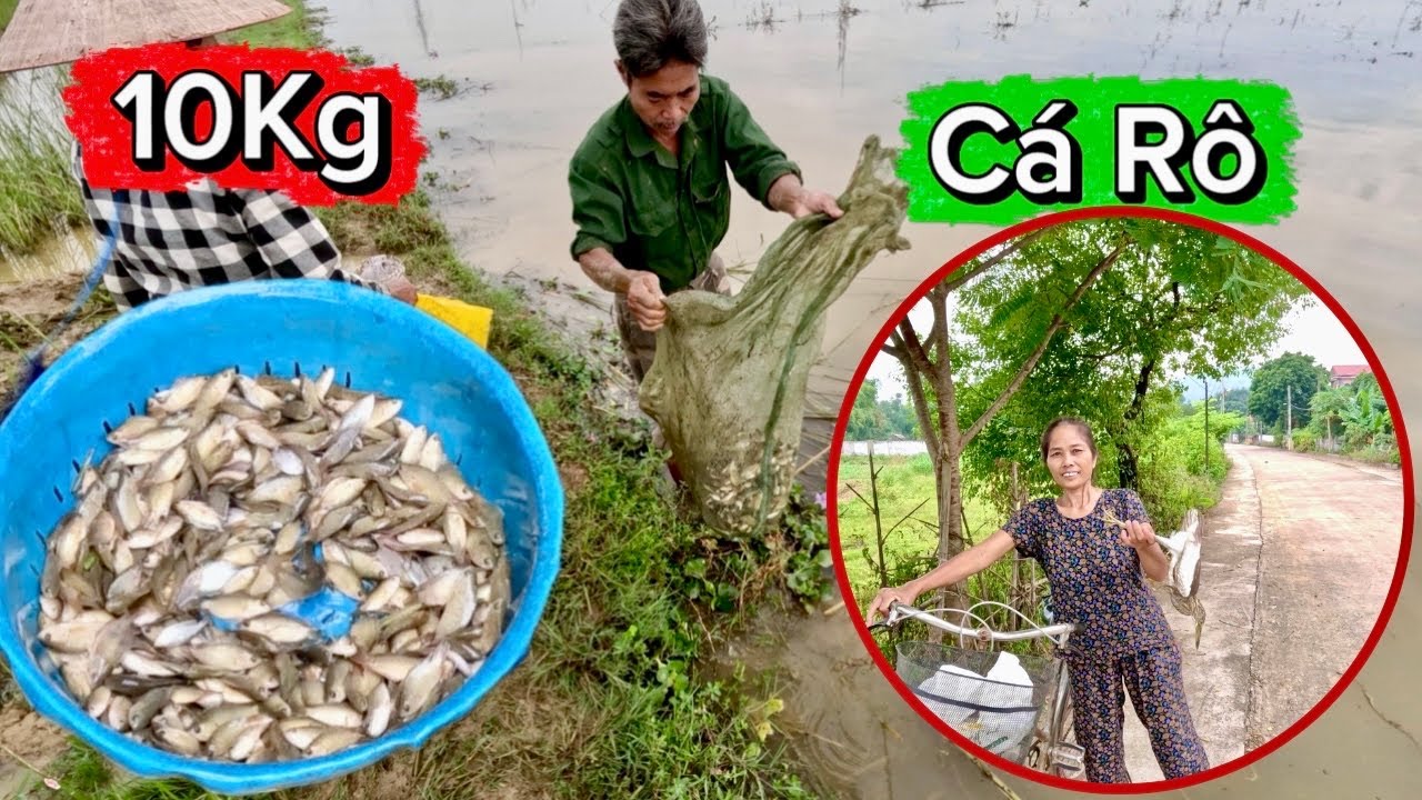 Kỉ Niệm Lần Đầu Đi Bắt Cá Rô Ron Cùng Bác Thông, Hồi Đó Cá Rất Nhiều Giờ Hiếm Quá