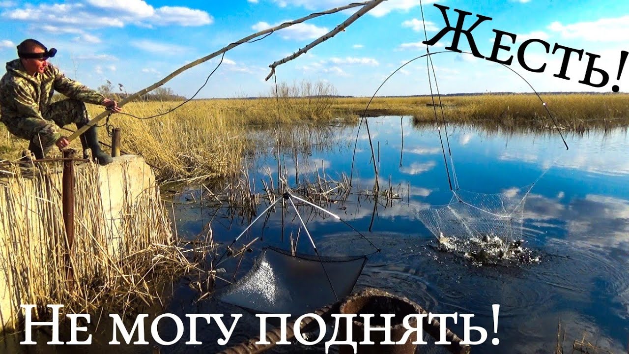 ПАУКИ ТРЕЩАТ ПО ШВАМ ОТ ЭТИХ РЫБИН! СУПЕР УДАЧНАЯ РЫБАЛКА на ПАУК ПОДЪЁМНИК!!!