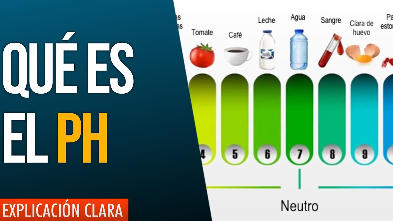 ¿Qué es el pH? | Ácidos y Bases
