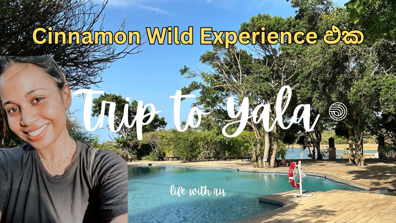 Travel Vlog | Cinnamon Wild Yala Experience ඵක කොහොමද? | සිංහල #vlog