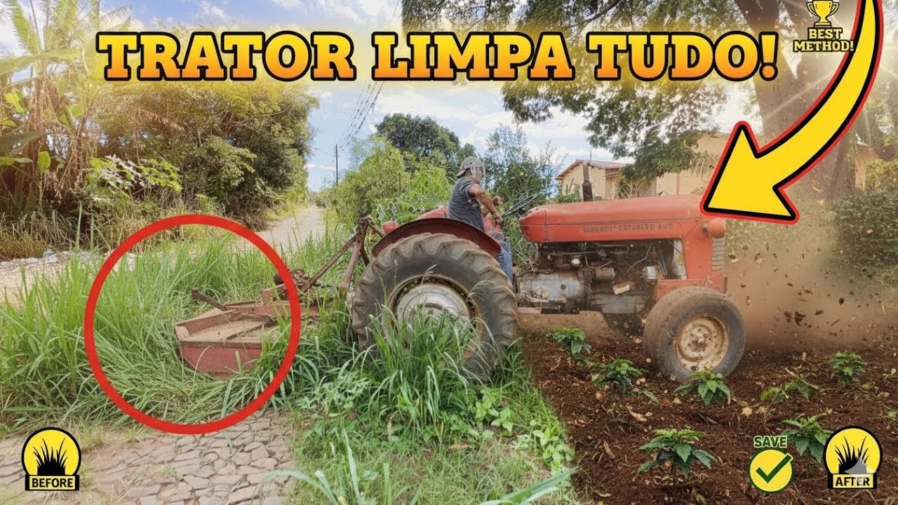 LIMPEZA DO CAFÉ COM TRATOR 🚜 | Antes e Depois da Roçagem
