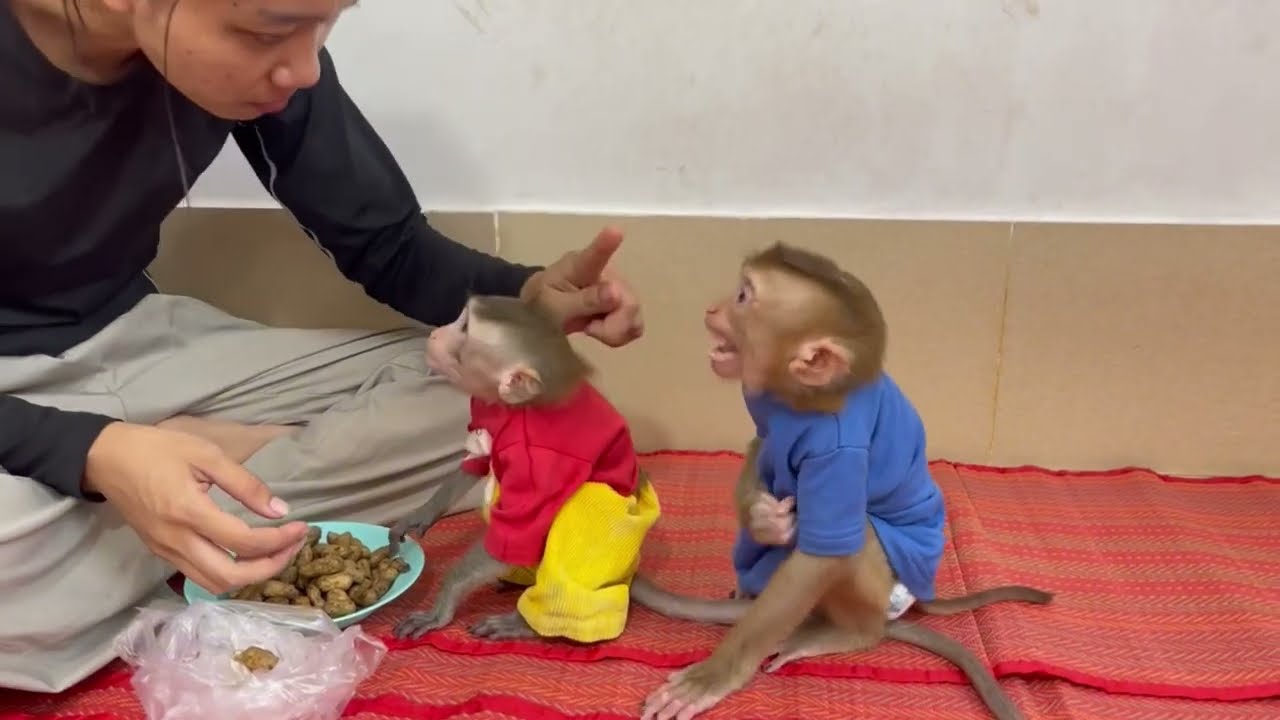 Nazztii Jasmine open big mouth c..yii with no reason until mom hrd to ad... her