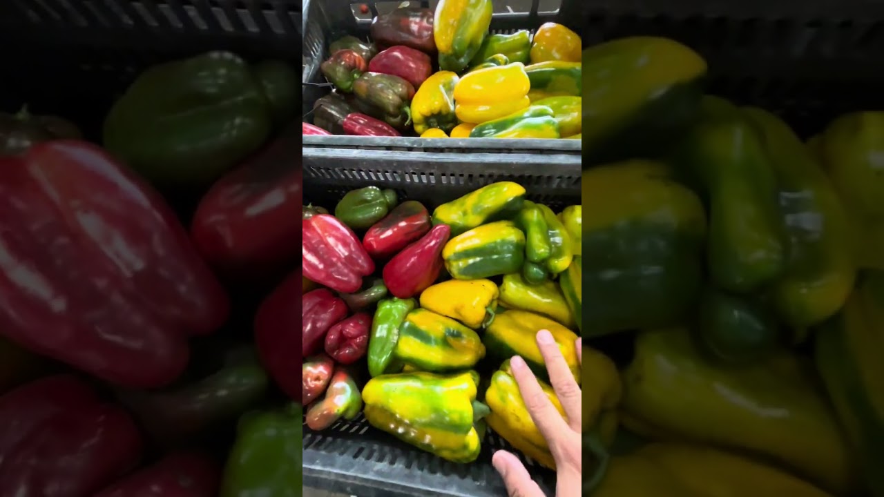Pesquisa de preços Ceasa minas Contagem. #ceasa #ceasar #produtorrural #hortifruti #frutas 