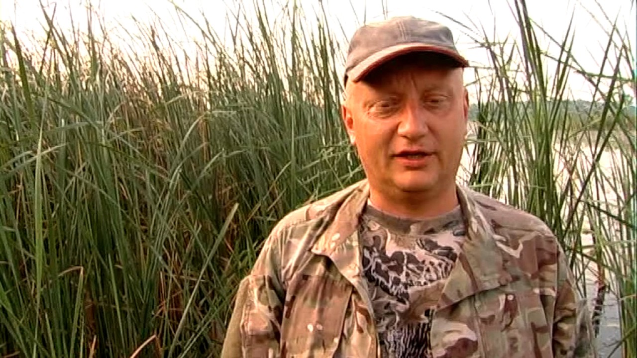 Чоловічий стандарт Хріники Шибин 2016 1 частина