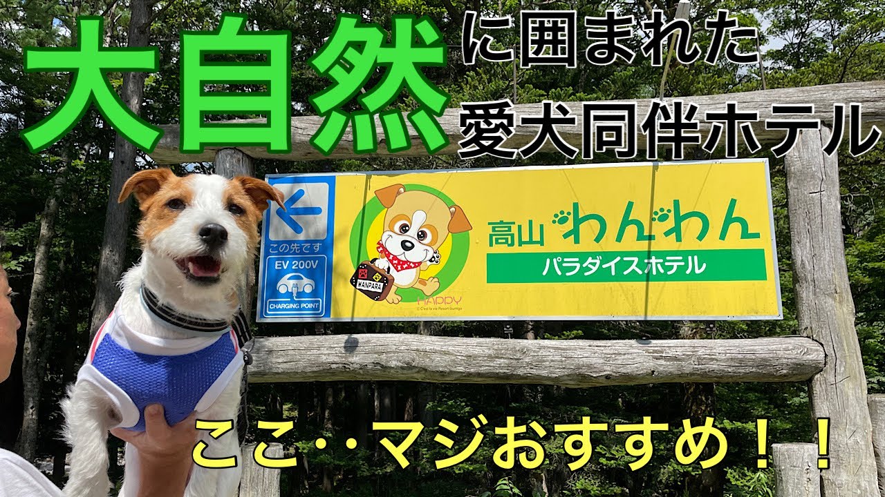 岐阜旅 #3 高山わんわんパラダイスホテルに行ってきた