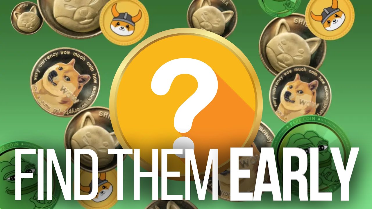 How to find the next 1000x Meme Coin in Detail