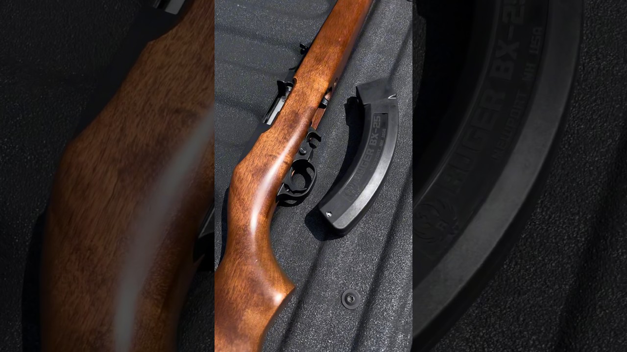Классический Ruger 10/22 с трассерами