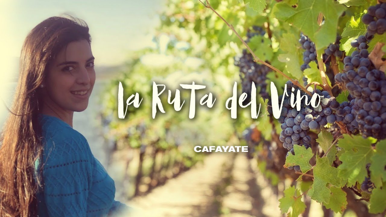 Los vinos más altos del mundo están en Salta | Ruta del Vino, Cafayate | #Rutitas