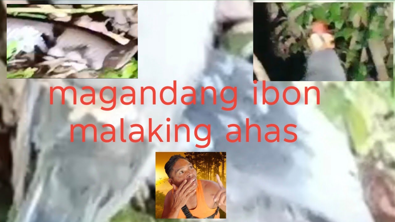 Napakagandang ibon at may ahas 😱 #explore #adventure 