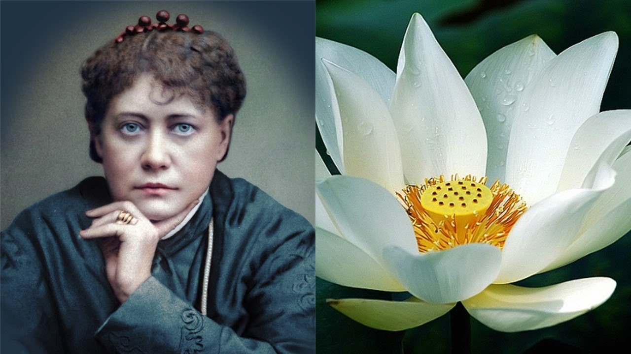 O Silêncio do Grande Vazio: Uma Reflexão sobre o Vesak e o Dia do Lótus Branco.