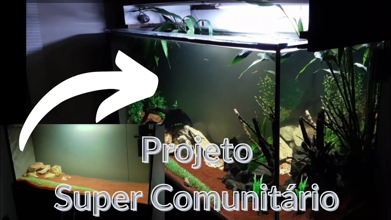 Aquário Comunitário #001 | Início do projeto Super Comunitário 360lts @aquahometv5658