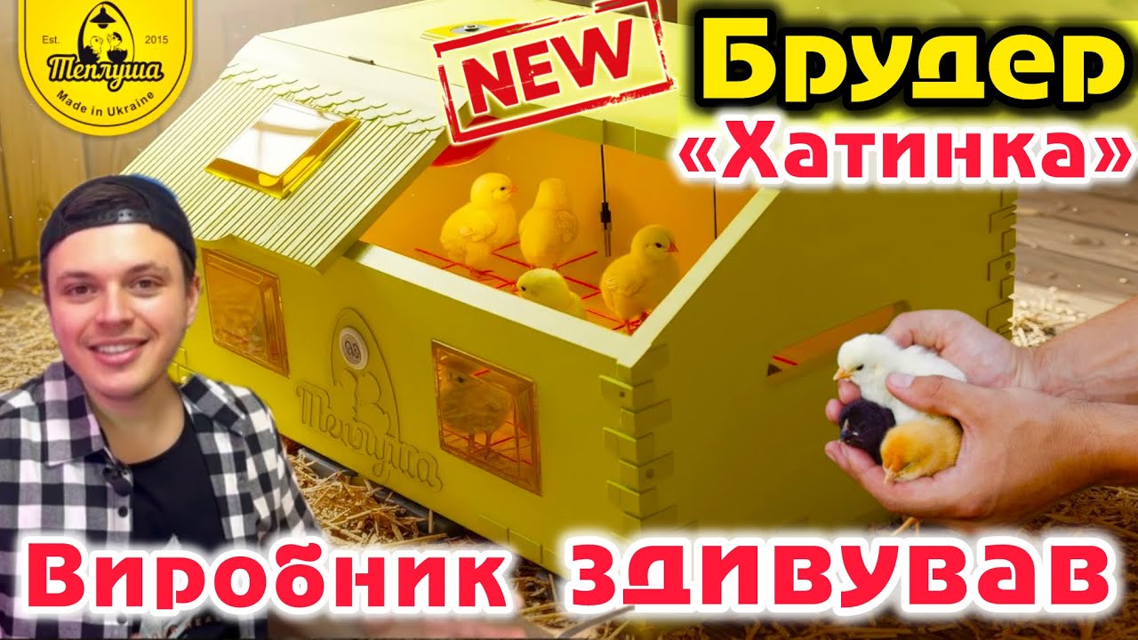 НОВІ Брудер-Ясла для курчат від ТЕПЛУША🐣