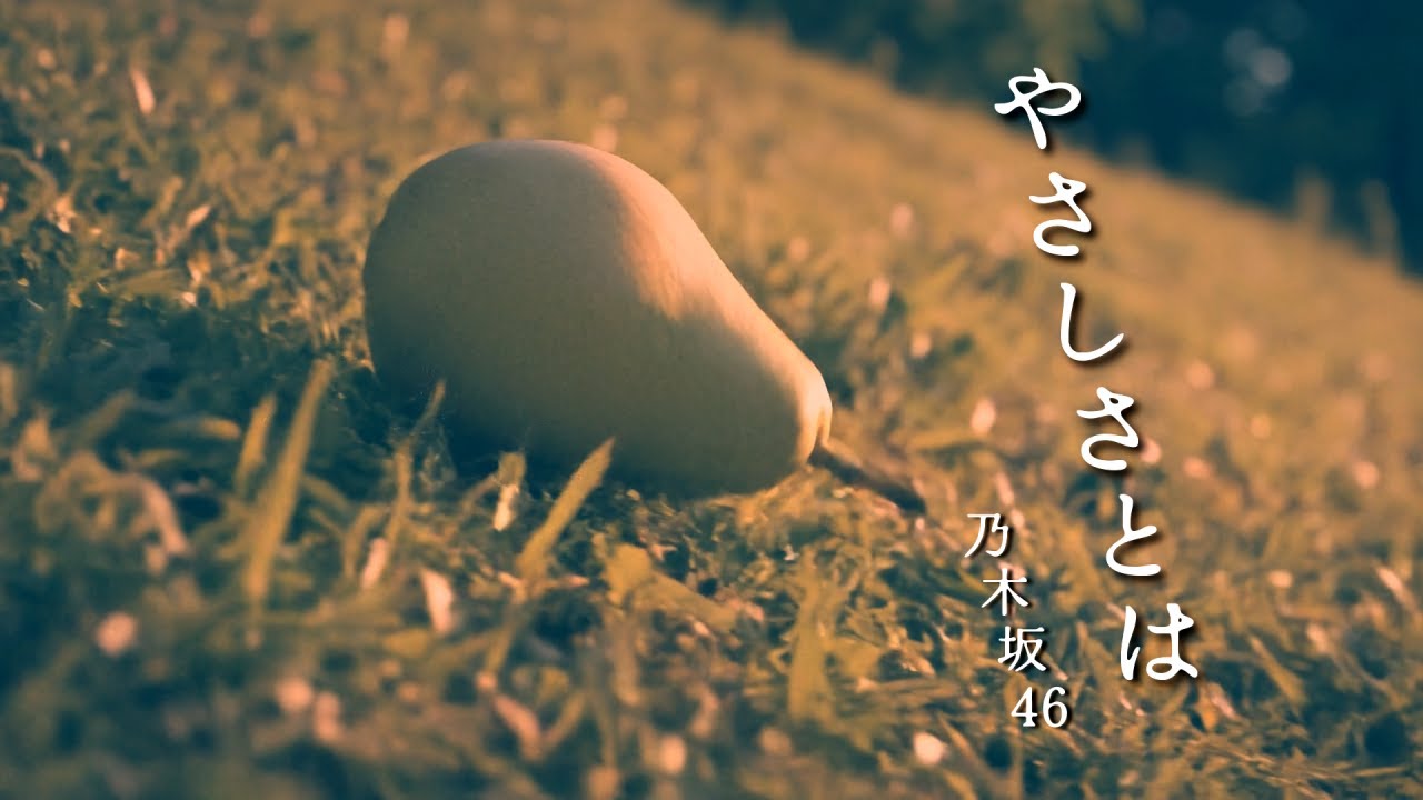 やさしさとは／乃木坂46