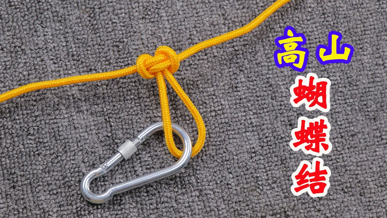 高山蝴蝶结，攀岩中用锁扣与安全带连接很安全，砍树时拖树很实用