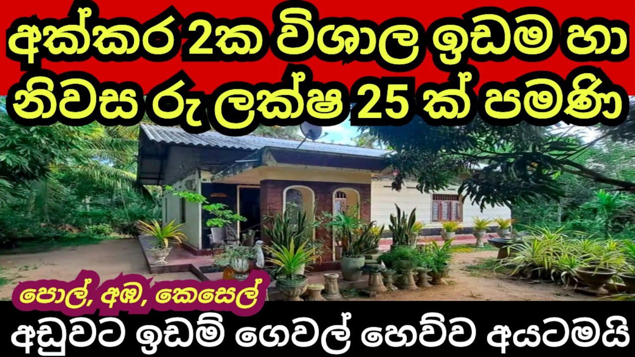 අක්කර 2 ක ඉඩම හා නිවස රු ලක්ෂ 25 කට | අඩුවට ඉඩම් නිවාස හෙව්ව අයට | Coconut land | Aduwata idam| idam