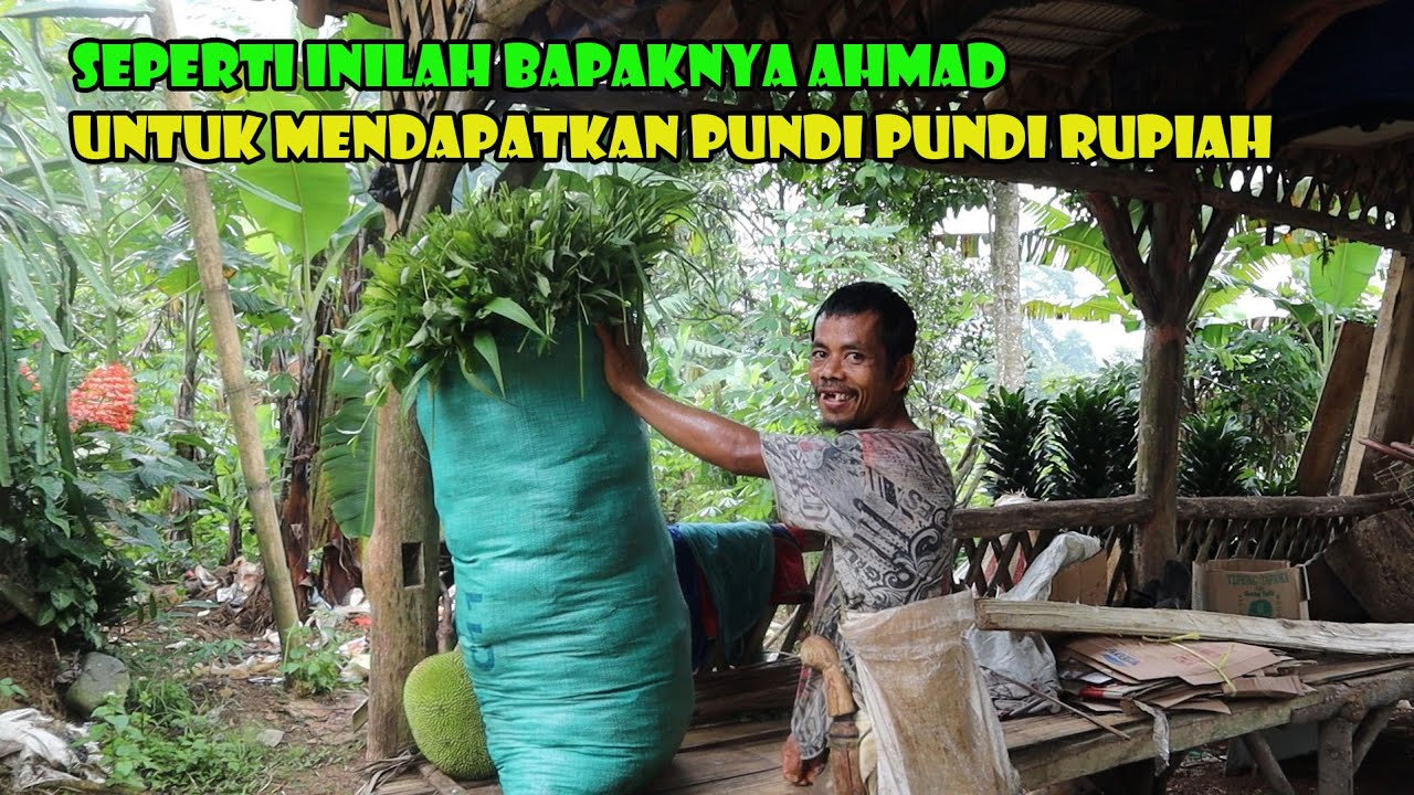 Cari Uang Sulit..Solusinya Ngarit..Beginilah Bapaknya Ahmad Mencari Duit.