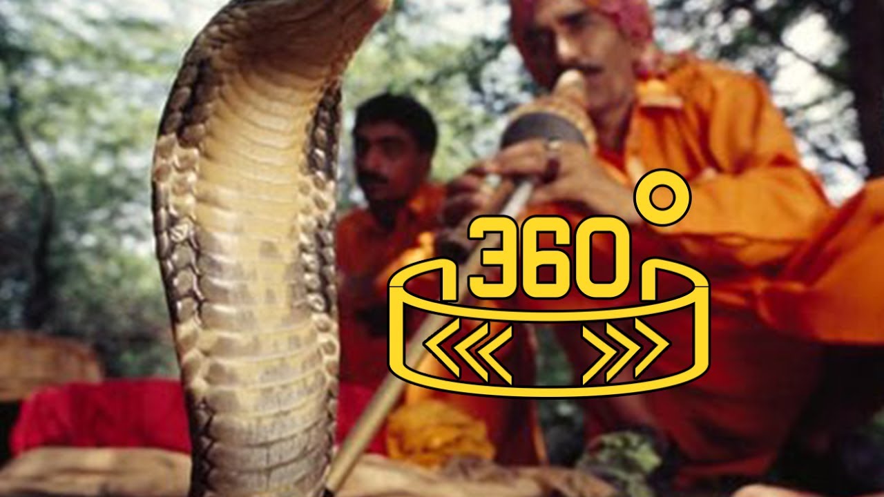360 WION : Snake Charming Losing Its Charm