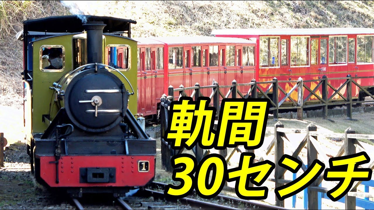 【38cm】日本一小さい鉄道・ロムニー鉄道に乗車！【1903オリエント2】修善寺駅 3/14-02