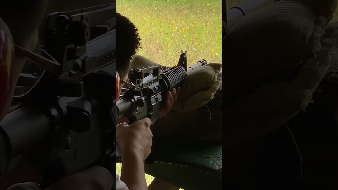 Bushmaster XM15-E2S