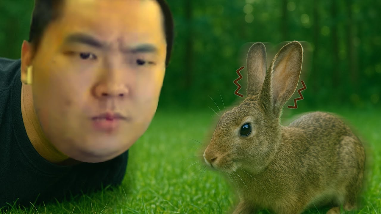 인간상성